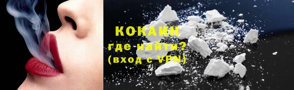 прущие грибы Горно-Алтайск