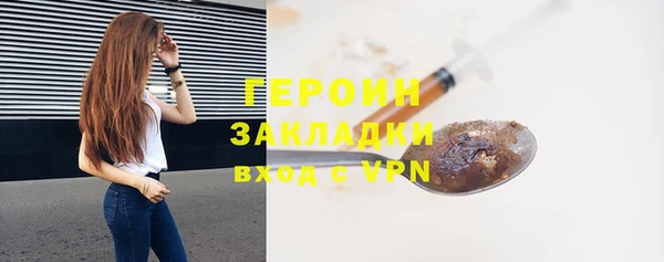 прущие грибы Горно-Алтайск