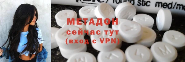 прущие грибы Горно-Алтайск