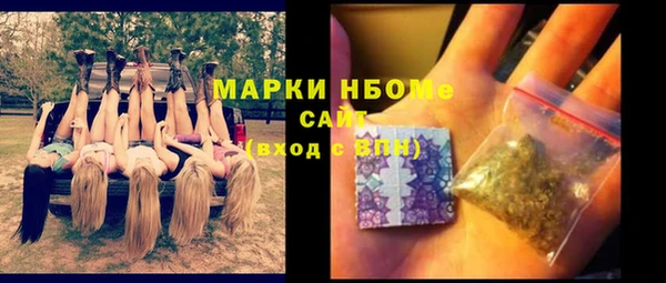 прущие грибы Горно-Алтайск