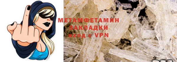 прущие грибы Горно-Алтайск