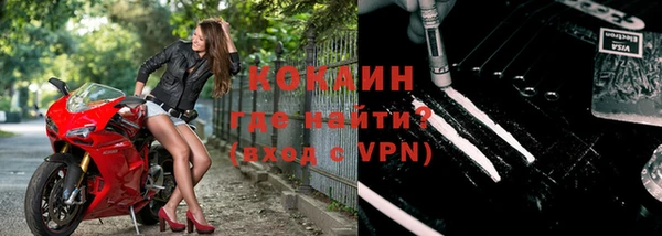 прущие грибы Горно-Алтайск