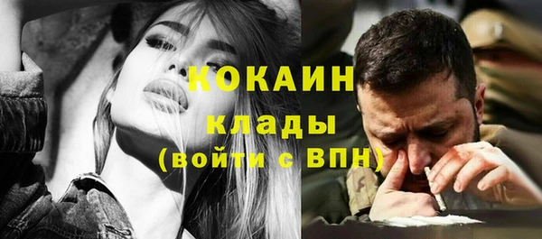 прущие грибы Горно-Алтайск