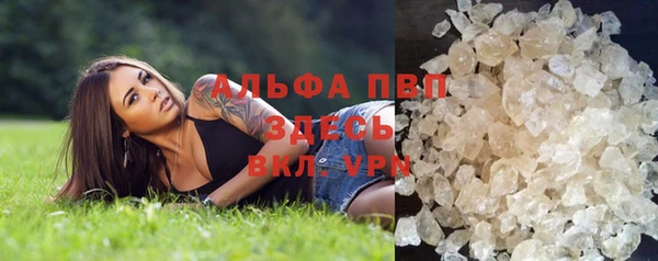 прущие грибы Горно-Алтайск